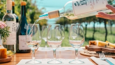 Vin&iacute;cola Gamboa